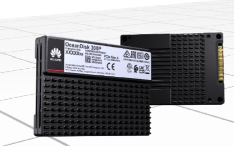 huawei-ssd-interno-oceandisk-300p-es3500p-v6-stlzu9nvme3840-384tb-ssd-nvme-disk-unit25sectorsize-512v120-yx2emtcbjhssd-0